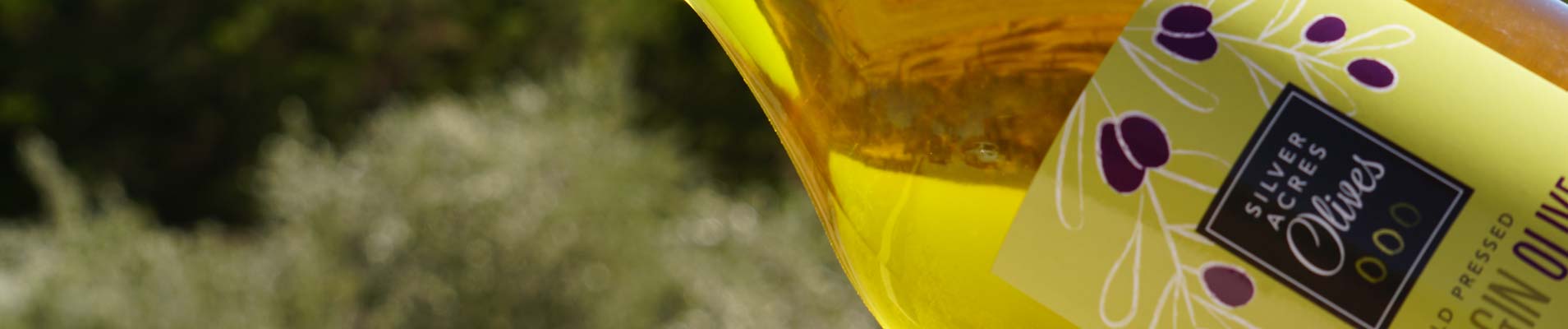 olive oil sales adelaide